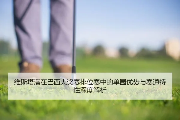 维斯塔潘在巴西大奖赛排位赛中的单圈优势与赛道特性深度解析